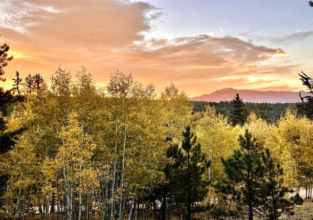 Homes for sale in Florissant, CO | 2927 Pathfinder Rd, Florissant, CO 80816 | MLS# 8938559