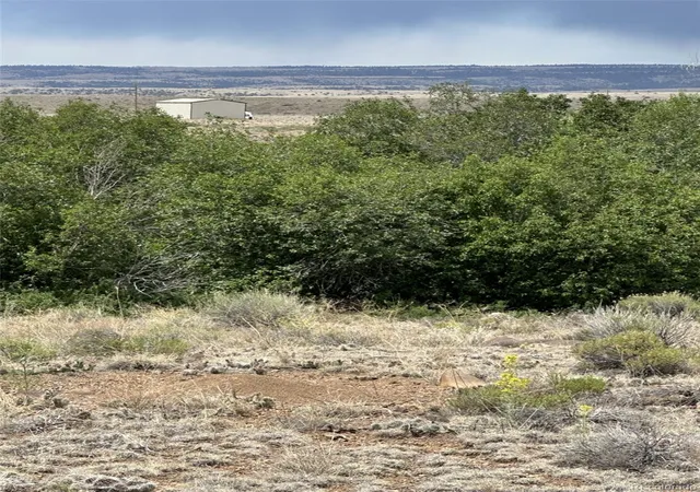 Homes for sale in Capulin, CO | Lot 95 Prairie Wind Lane, Capulin, CO 81124 | MLS# 1691801