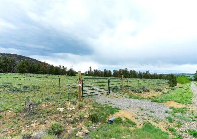 Homes for sale in Fairplay, CO | 2662 Willow Creek Ln, Fairplay, CO 80440 | MLS# 8139453