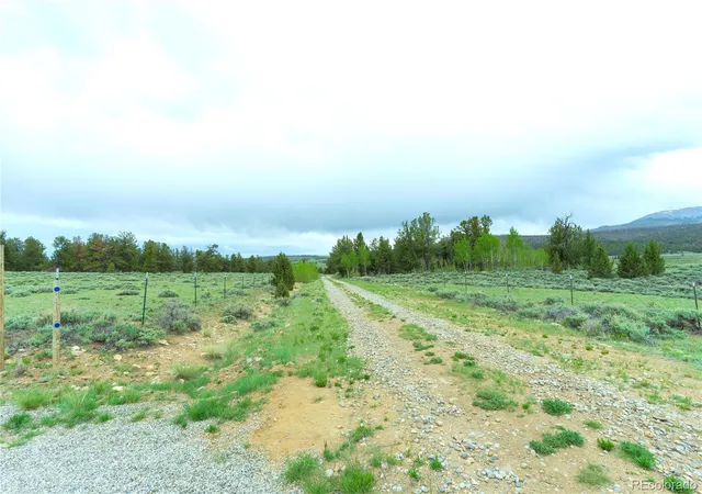 Homes for sale in Fairplay, CO | 2662 Willow Creek Ln, Fairplay, CO 80440 | MLS# 8139453
