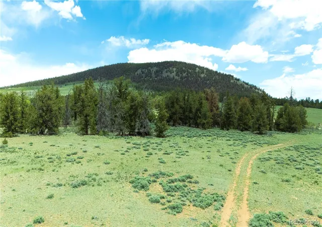 Homes for sale in Fairplay, CO | 2662 Willow Creek Ln, Fairplay, CO 80440 | MLS# 8139453