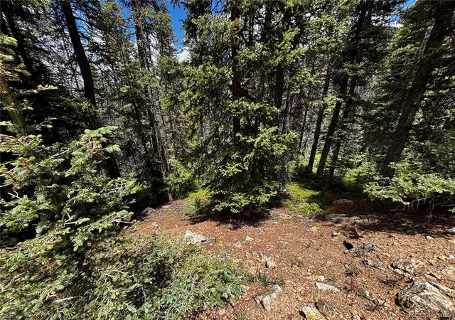 Photo 1 of Land for sale at 00 Forbes Rd, Fort Garland, CO 81133 | MLS# 2834647 | Listing updated on 2026-06-17