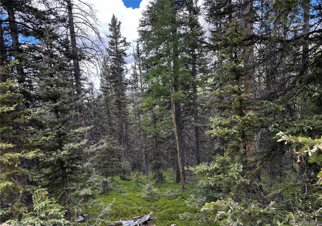 Photo 3 of Land for sale at 00 Forbes Rd, Fort Garland, CO 81133 | MLS# 2834647 | Listing updated on 2026-06-17