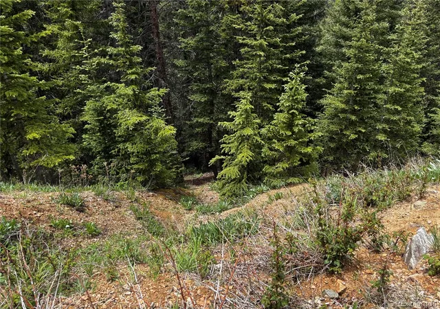 Photo 9 of Land for sale at 00 Forbes Rd, Fort Garland, CO 81133 | MLS# 2834647 | Listing updated on 2026-06-17