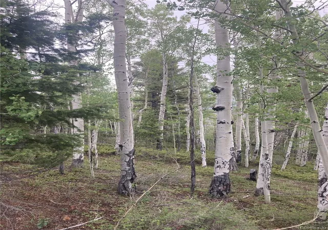 Homes for sale in San Luis, CO | Lot 6858 Starkweather Rd, San Luis, CO 81152 | MLS# 5366281