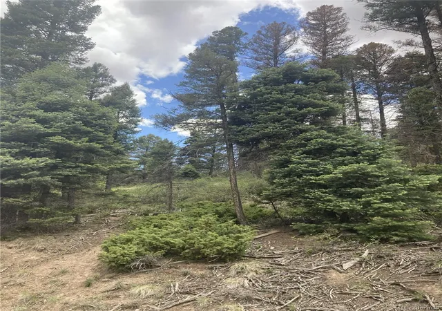 Homes for sale in San Luis, CO | Lot 6858 Starkweather Rd, San Luis, CO 81152 | MLS# 5366281