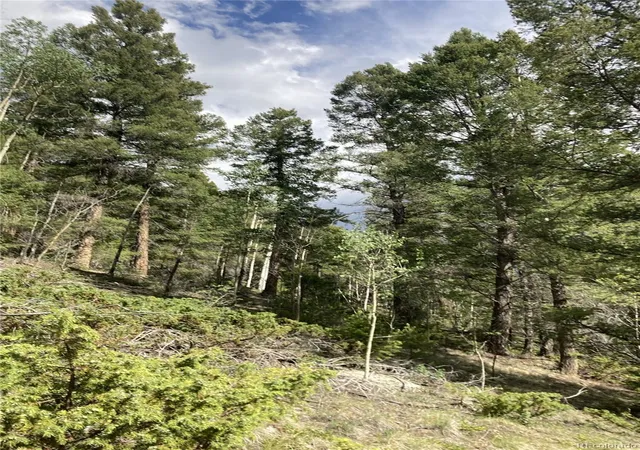 Homes for sale in San Luis, CO | Lot 6858 Starkweather Rd, San Luis, CO 81152 | MLS# 5366281