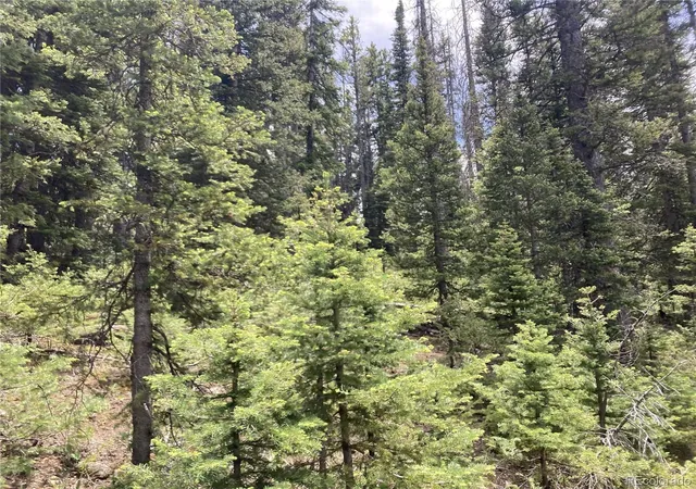 Homes for sale in San Luis, CO | Lot 6614 Starkweather Rd, San Luis, CO 81152 | MLS# 7256079