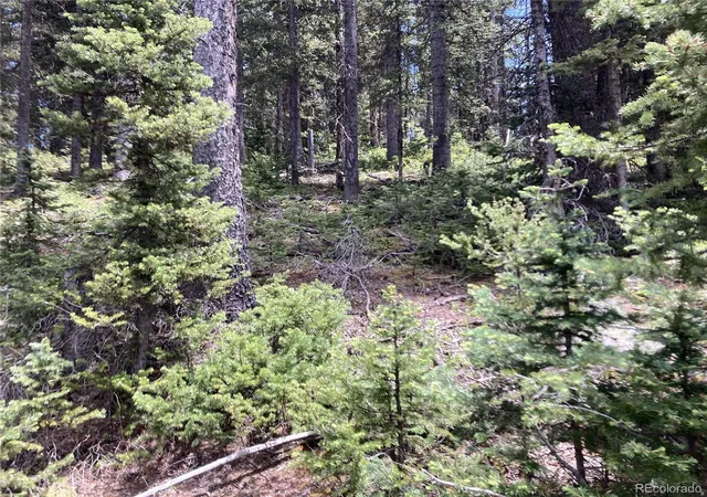 Homes for sale in San Luis, CO | Lot 6614 Starkweather Rd, San Luis, CO 81152 | MLS# 7256079