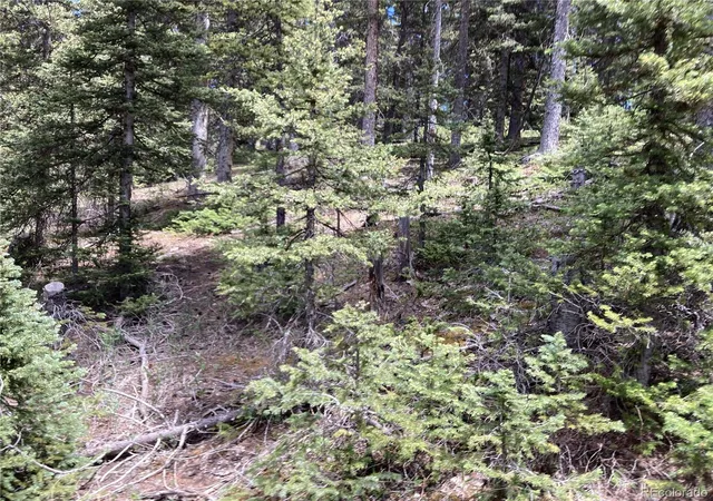 Homes for sale in San Luis, CO | Lot 6614 Starkweather Rd, San Luis, CO 81152 | MLS# 7256079
