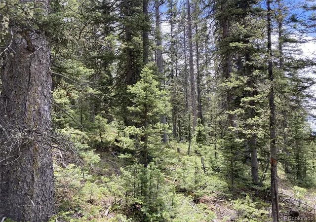Homes for sale in San Luis, CO | Lot 6614 Starkweather Rd, San Luis, CO 81152 | MLS# 7256079