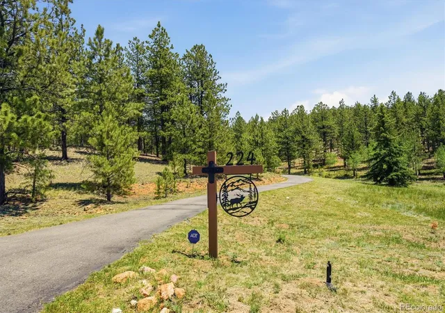 Homes for sale in Bailey, CO | 224 Hangman Rd, Bailey, CO 80421 | MLS# 7349998
