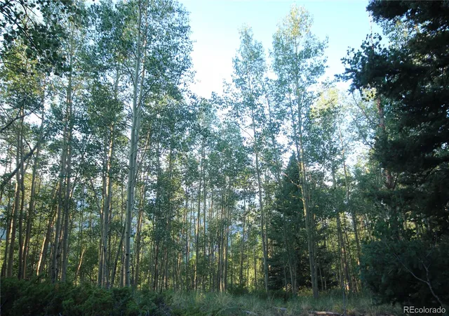 Homes for sale in San Luis, CO | Lot 6588 Forbes Rd, San Luis, CO 81152 | MLS# 8020559