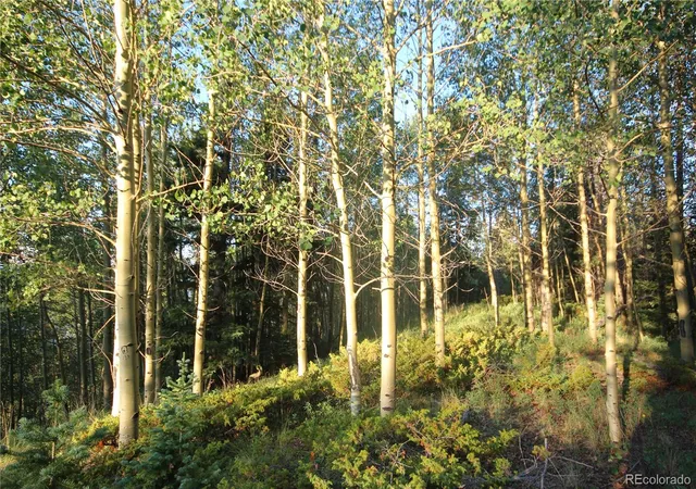 Homes for sale in San Luis, CO | Lot 6588 Forbes Rd, San Luis, CO 81152 | MLS# 8020559