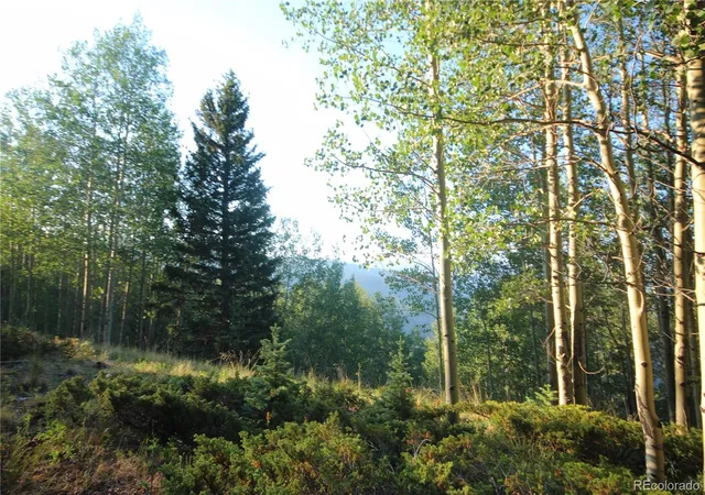 Homes for sale in San Luis, CO | Lot 6588 Forbes Rd, San Luis, CO 81152 | MLS# 8020559