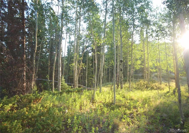 Homes for sale in San Luis, CO | Lot 6588 Forbes Rd, San Luis, CO 81152 | MLS# 8020559
