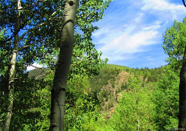 Photo 4 of Land for sale at Lot 6295 Malcolm Rd, San Luis, CO 81152 | MLS# 5611693 | Listing updated on 2026-06-24