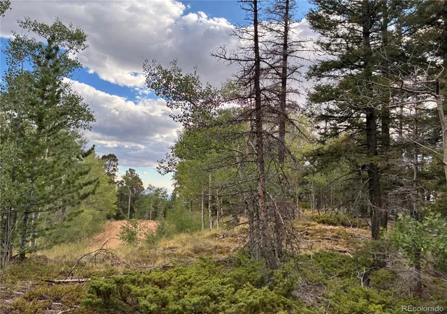 Photo 2 of Land for sale at Lot 5563 Balleroy Rd, San Luis, CO 81152 | MLS# 7660649 | Listing updated on 2026-09-05