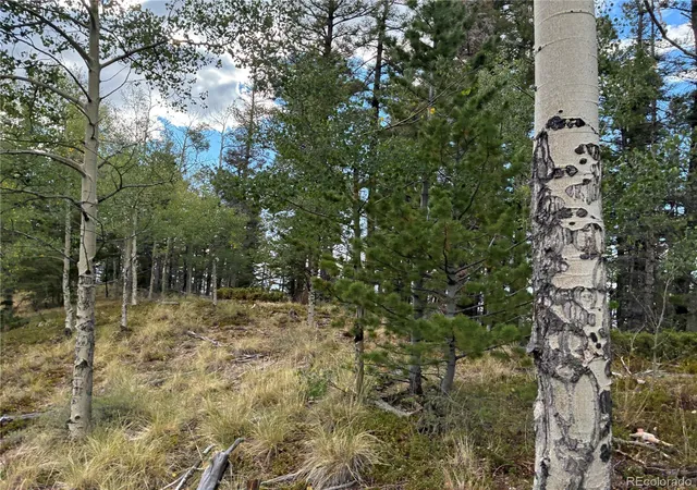 Photo 3 of Land for sale at Lot 5563 Balleroy Rd, San Luis, CO 81152 | MLS# 7660649 | Listing updated on 2026-09-05