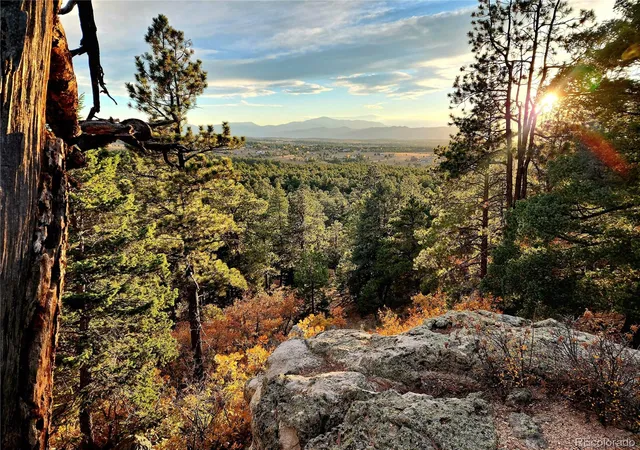 Photo 4 of Single family home for sale at 4450 Walker Ridge View, Colorado Springs, CO 80908 | MLS# 6566061 | Listing updated on 2026-07-07