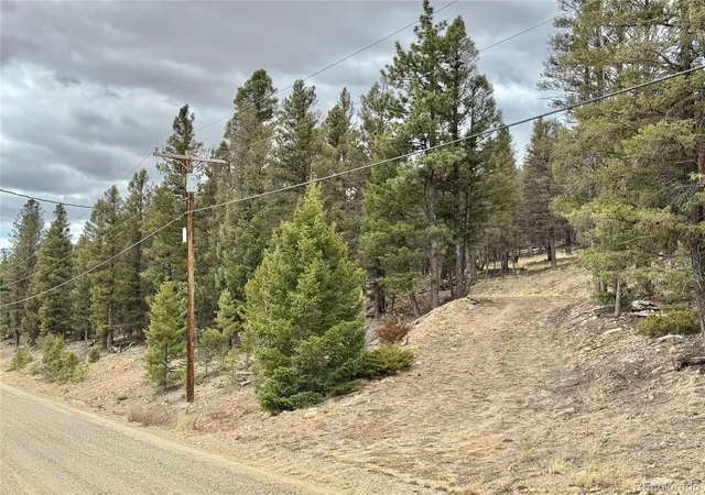 Homes for sale in Fairplay, CO | 2403 Redhill Rd, Fairplay, CO 80440 | MLS# 7215406