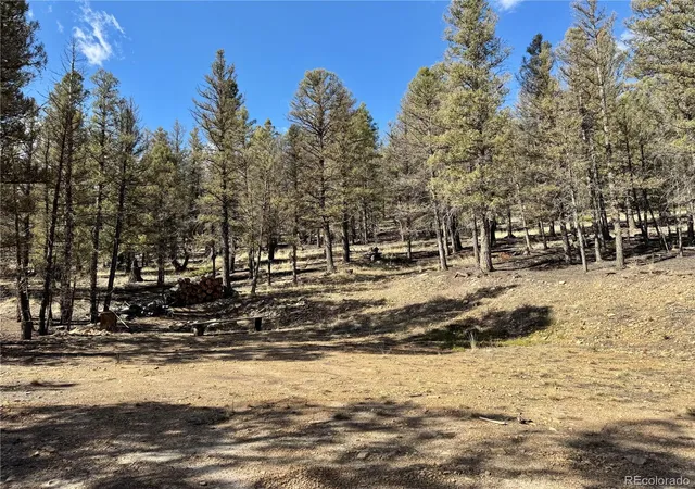 Homes for sale in Fairplay, CO | 2403 Redhill Rd, Fairplay, CO 80440 | MLS# 7215406