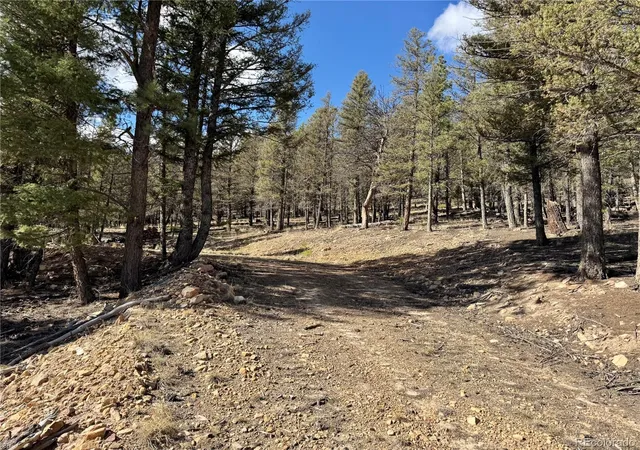 Homes for sale in Fairplay, CO | 2403 Redhill Rd, Fairplay, CO 80440 | MLS# 7215406