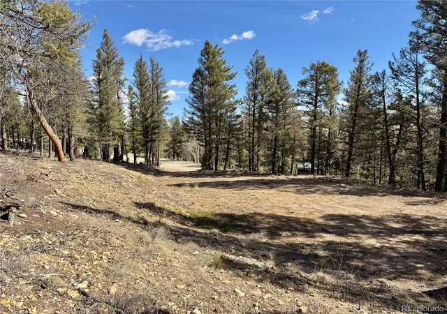 Homes for sale in Fairplay, CO | 2403 Redhill Rd, Fairplay, CO 80440 | MLS# 7215406