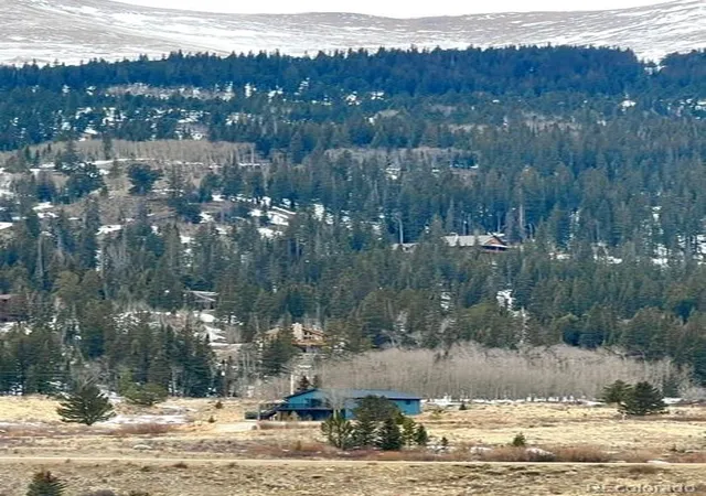 4th image of 141 Quartzville Rd, Alma, CO 80420 | MLS# 4898389