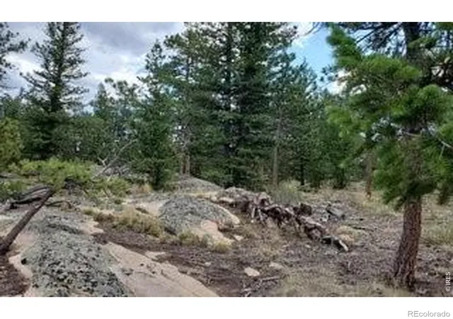 16th image of 3021 Lake Arapahoe Ct, Red Feather Lakes, CO 80545 | MLS# IR1061434