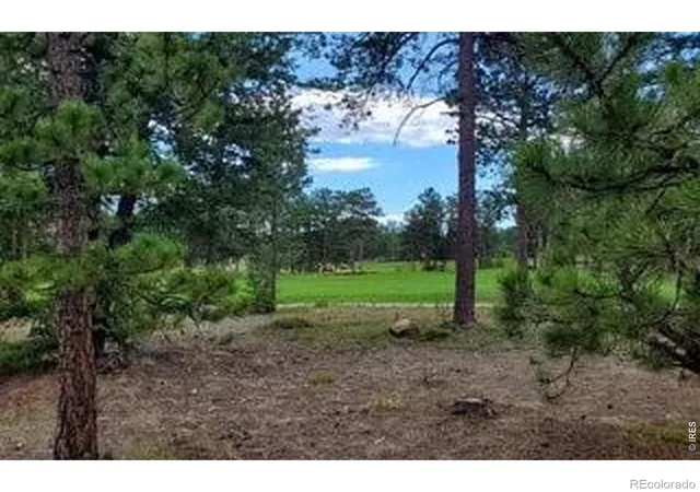3rd image of 3021 Lake Arapahoe Ct, Red Feather Lakes, CO 80545 | MLS# IR1061434