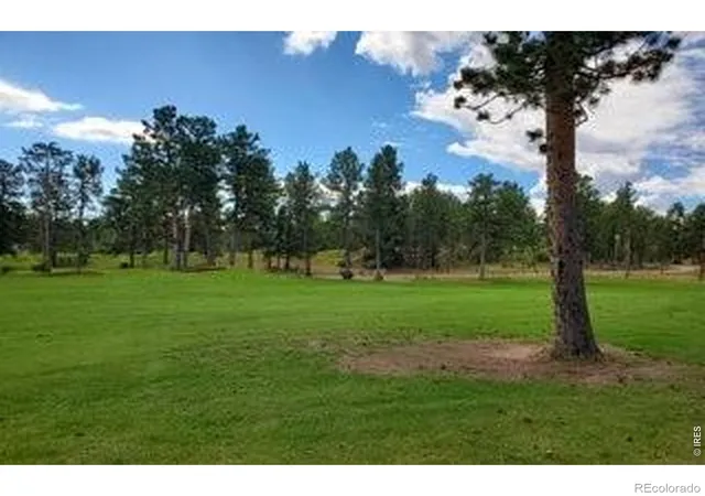 5th image of 3021 Lake Arapahoe Ct, Red Feather Lakes, CO 80545 | MLS# IR1061434
