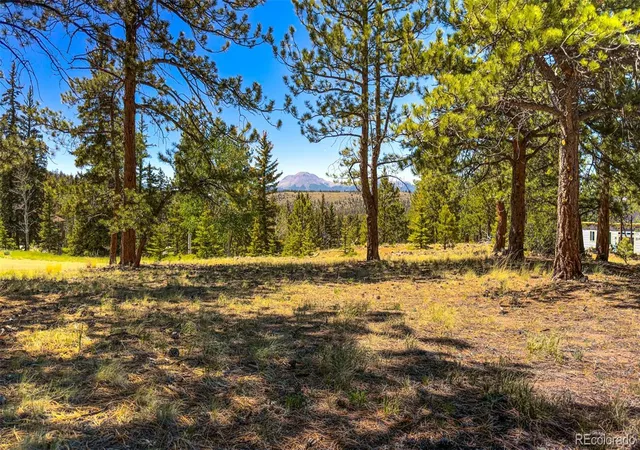 Homes for sale in Buena Vista, CO | 120 Chubb Ct, Buena Vista, CO 81211 | MLS# 7686248
