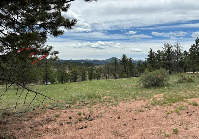Homes for sale in Florissant, CO | 266 Chapparal Trl, Florissant, CO 80816 | MLS# 9707808
