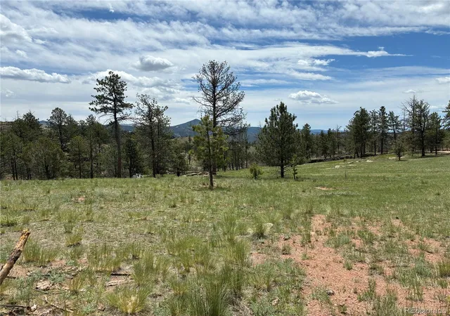 Homes for sale in Florissant, CO | 266 Chapparal Trl, Florissant, CO 80816 | MLS# 9707808