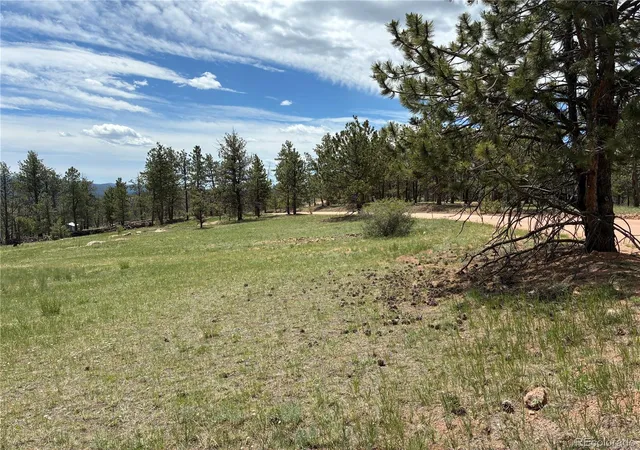 Homes for sale in Florissant, CO | 266 Chapparal Trl, Florissant, CO 80816 | MLS# 9707808