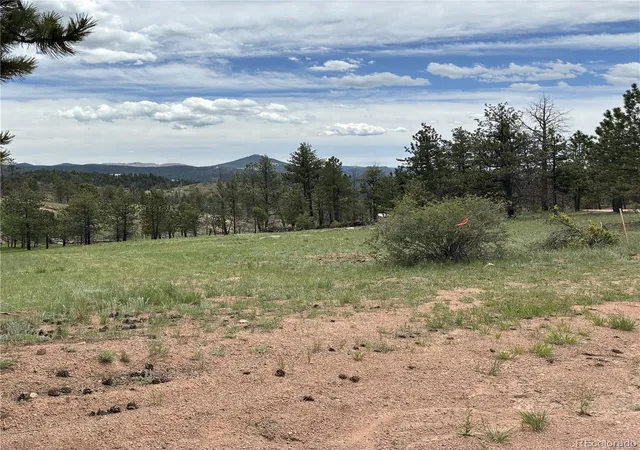 Homes for sale in Florissant, CO | 266 Chapparal Trl, Florissant, CO 80816 | MLS# 9707808