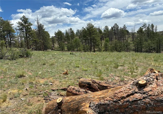Homes for sale in Florissant, CO | 266 Chapparal Trl, Florissant, CO 80816 | MLS# 9707808