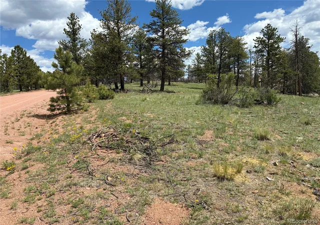 Homes for sale in Florissant, CO | 266 Chapparal Trl, Florissant, CO 80816 | MLS# 9707808
