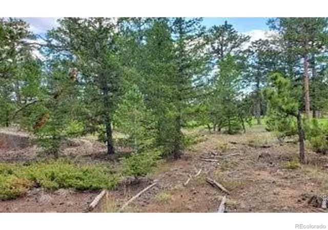 12th image of 3031 Lake Arapahoe Ct, Red Feather Lakes, CO 80545 | MLS# IR1061441