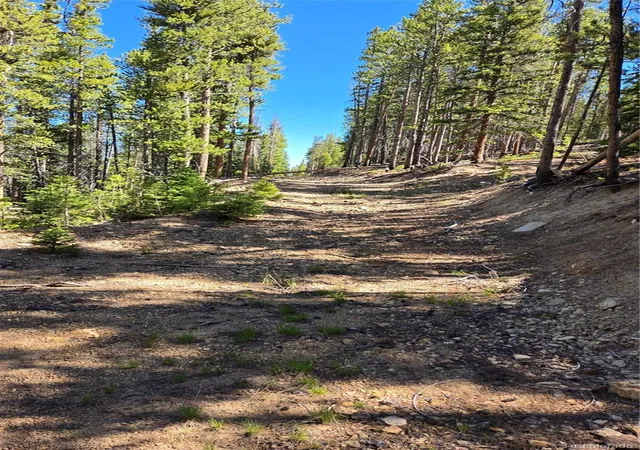 Photo 3 of Land for sale at 000 Summit Gulch Rd, Breckenridge, CO 80424 | MLS# 5976021 | Listing updated on 2026-09-29