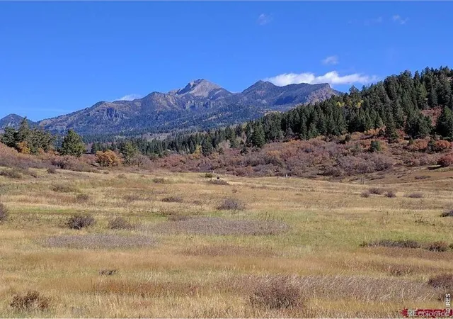3rd image of 919 Roush Dr, Pagosa Springs, CO 81147 | MLS# IR1061459