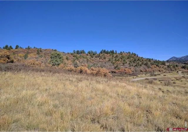 4th image of 919 Roush Dr, Pagosa Springs, CO 81147 | MLS# IR1061459