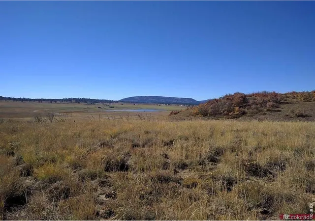 5th image of 919 Roush Dr, Pagosa Springs, CO 81147 | MLS# IR1061459