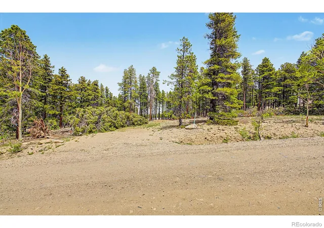 Homes for sale in Black Hawk, CO | 52 Meadowlake Dr, Black Hawk, CO 80422 | MLS# IR1061468
