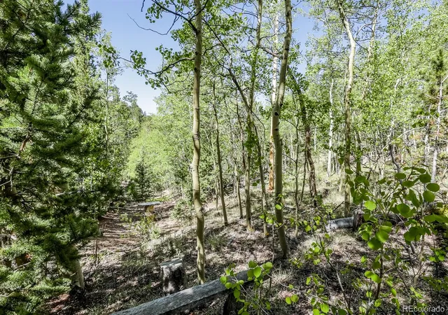 Homes for sale in Divide, CO | 9525 S State Hwy 67, Divide, CO 80814 | MLS# 2003290