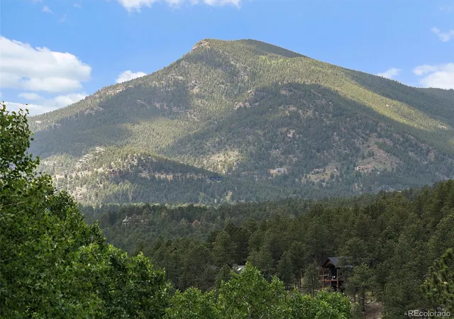 Homes for sale in Evergreen, CO | 4252 S Meadow Brook Ln, Evergreen, CO 80439 | MLS# 3803469