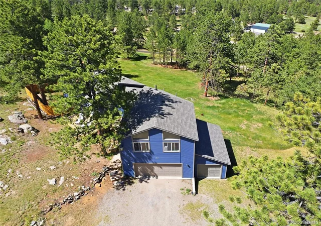 Homes for sale in Bailey, CO | 153 Chickadee Ln, Bailey, CO 80421 | MLS# 5319185