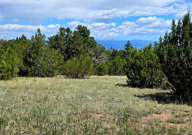3rd image of 0 County Road 15, Florence, CO 81226 | MLS# 9739473