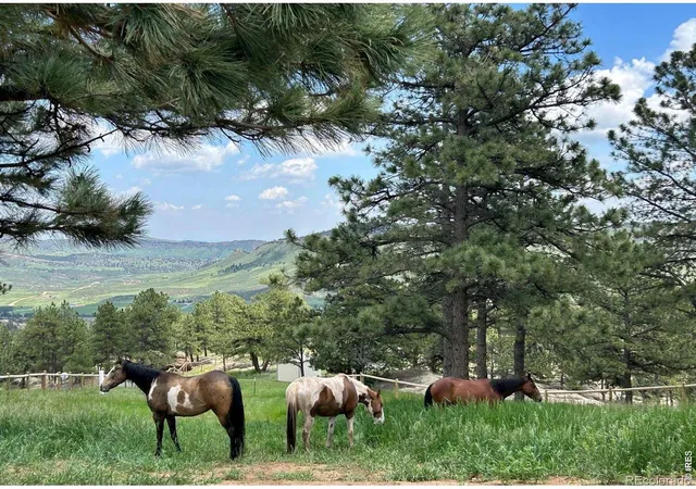 2nd image of 1893 Colard Ln, Lyons, CO 80540 | MLS# IR1061594